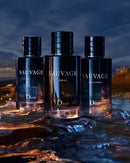 Perfume Sauvage Dior Eau de Toilette 100ML | Original