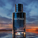 Perfume Sauvage Dior Eau de Toilette 100ML | Original